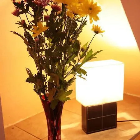 Gæstehus Hotel-pension Adamshof 2*