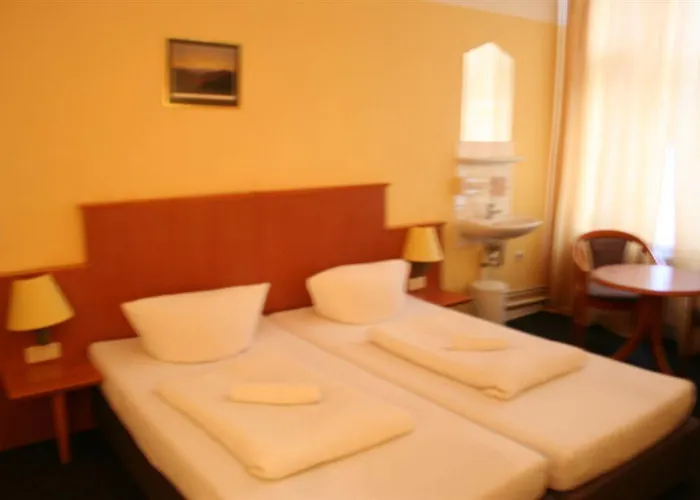 아담쇼프 베를린