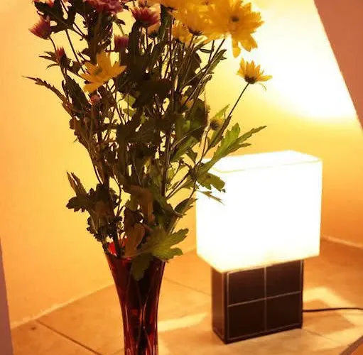 게스트하우스 아담쇼프 2*